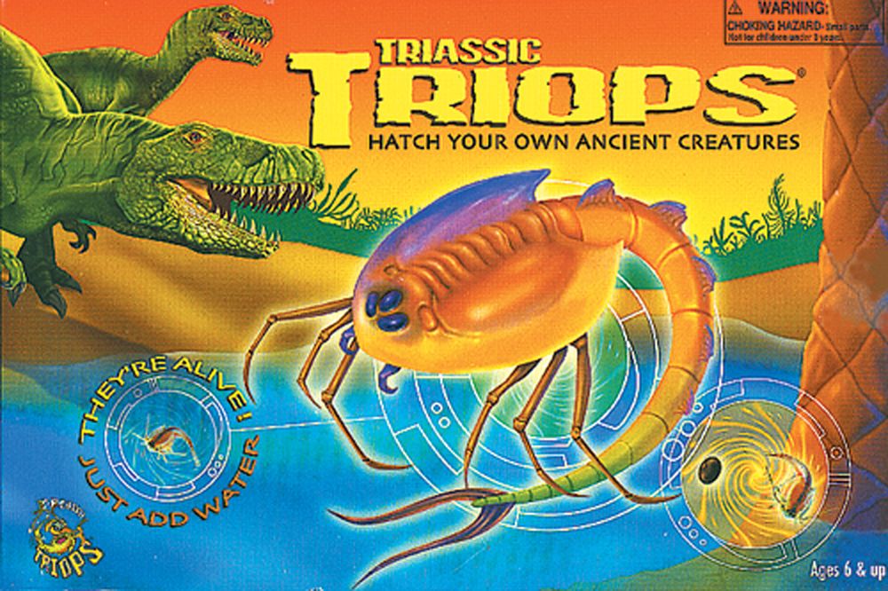 My Discovery Triops Kit