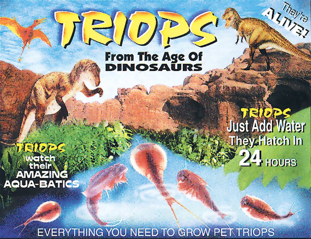 Triops Packet (Eggs, Conditioner, Food, and Instructions)