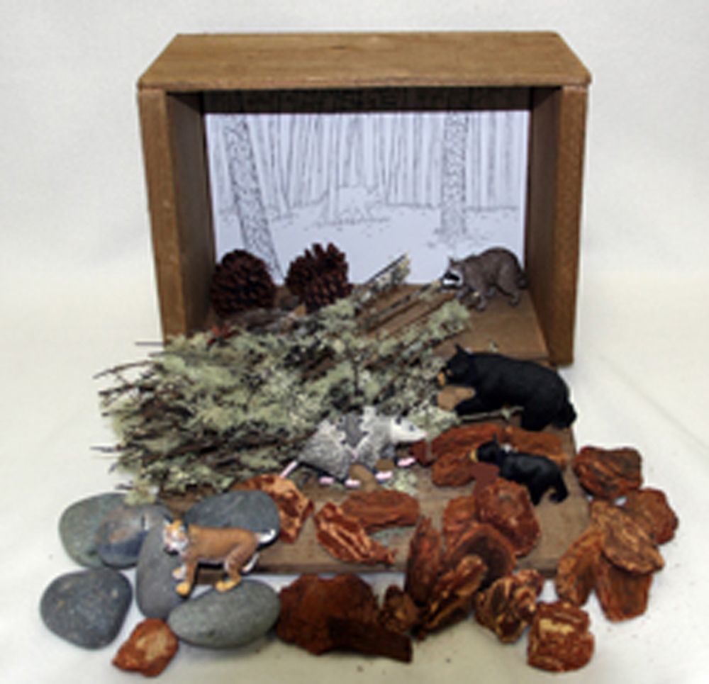 Best Deal for Rainforest Diorama Supplies Model Miniature Forest Plastic