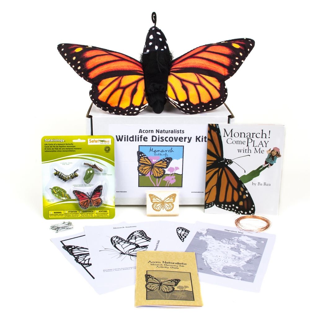 Trace of Butterfly Stamp Set