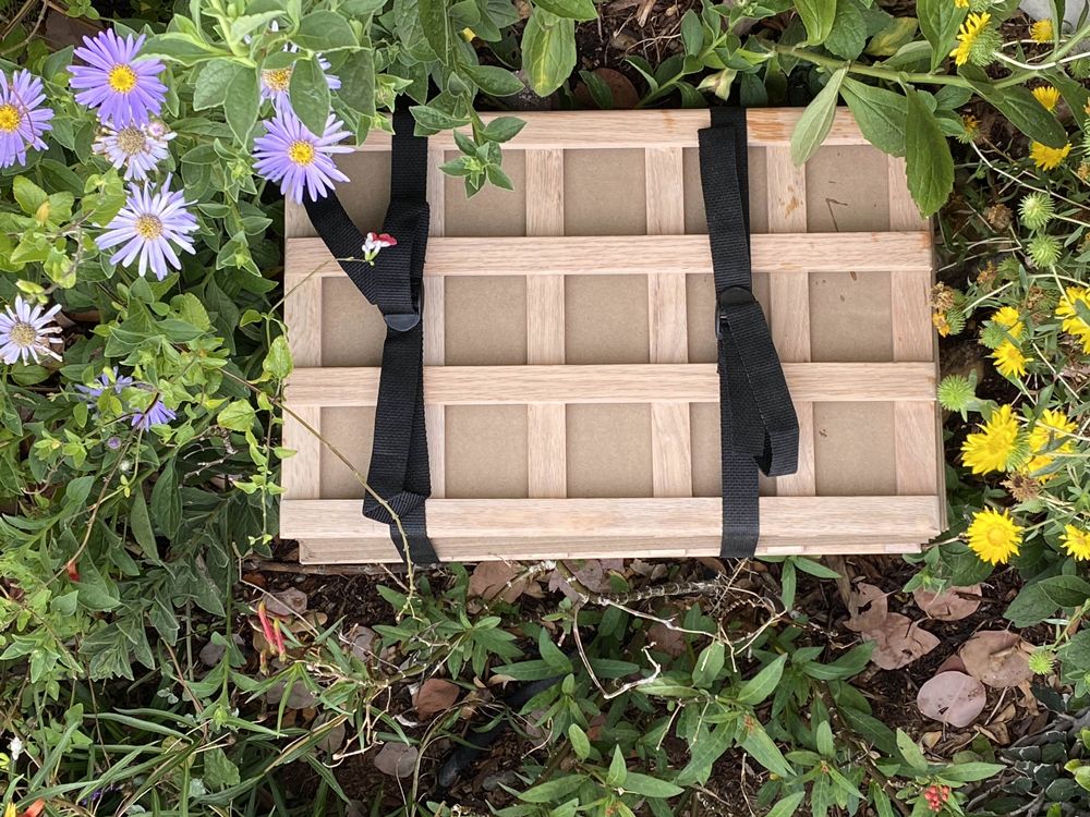 Mini Flower Press Kit, Pocket Flower Pressing Kit, Herbarium Plant Press  Kit, Childrens Flower Press Kit