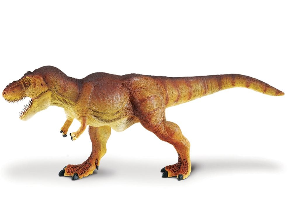 Kids Safari Toob® Dinosaur Diorama, Projects