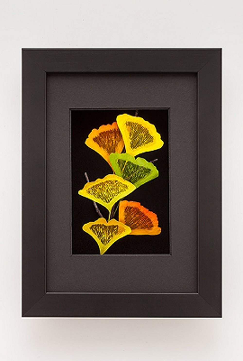 Ginkgo Leaf Shadowbox Framed Art