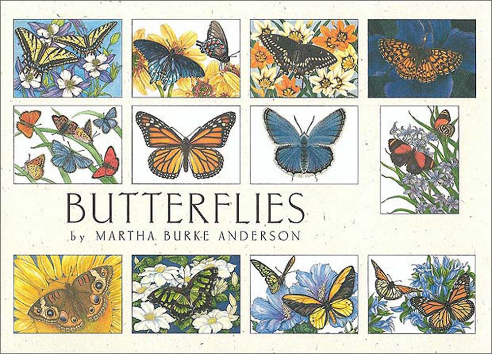Butterflies (Boxed Notes)